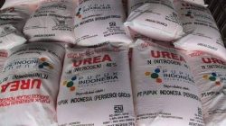 Kurang Pengawasan, CERI Desak BPK Audit Tata Kelola Pupuk Nonsubsidi