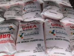 Kurang Pengawasan, CERI Desak BPK Audit Tata Kelola Pupuk Nonsubsidi